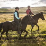Varmahlid: 1-Hour Icelandic Horse Riding Tour - Who Would Love This Tour?