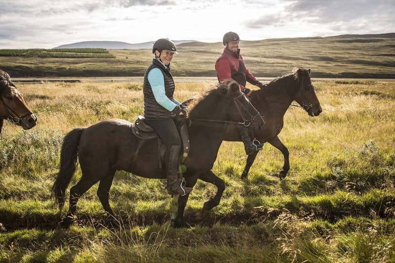 Varmahlid: 1-Hour Icelandic Horse Riding Tour - Who Would Love This Tour?