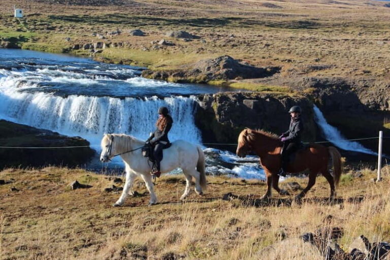 Varmahlid: Viking Horse Riding Tour - An In-Depth Look at the Viking Horse Riding Tour in Varmahlíð