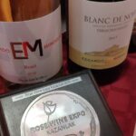 Varna Exquisite Wine Tasting - The Sum Up