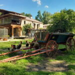 Varna: Guided VIP Tour - The Practicalities and Value