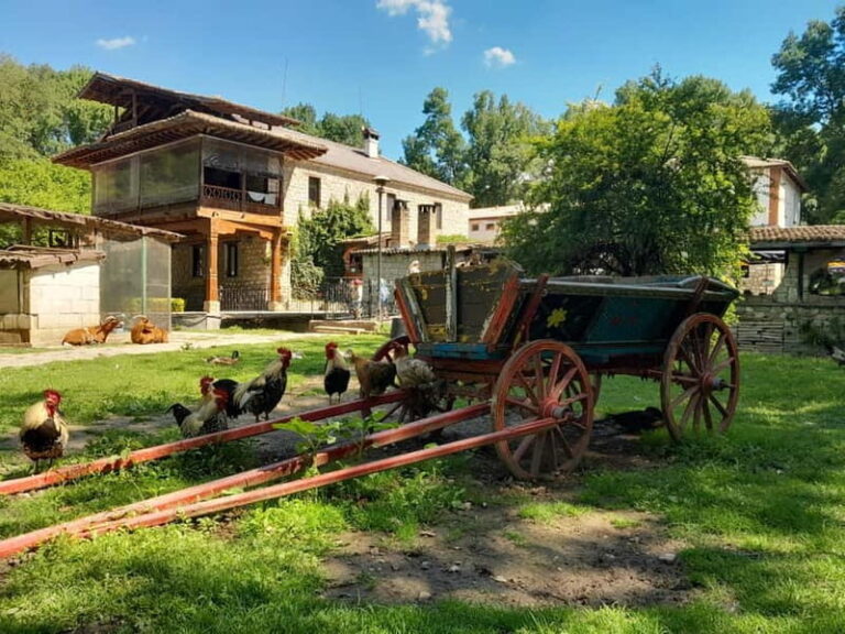 Varna: Guided VIP Tour - The Practicalities and Value