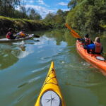 Varna: Kamchia River Kayaking Day Tour - Who Should Consider This Tour?