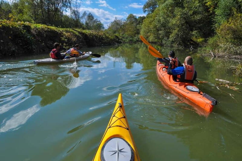 Varna: Kamchia River Kayaking Day Tour - Who Should Consider This Tour?