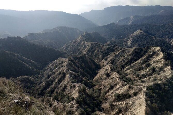 Vashlovani National Park Day Trip from Tbilisi - FAQ