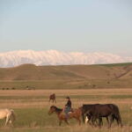 Vashlovani Nature Reserve: Horse Riding Tour - Exploring the Vashlovani Horseback Riding Experience