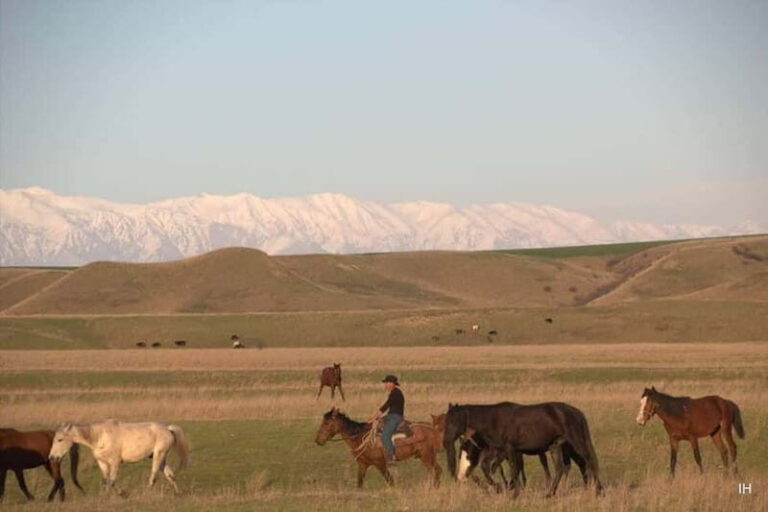 Vashlovani Nature Reserve: Horse Riding Tour - Exploring the Vashlovani Horseback Riding Experience