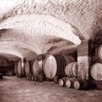 Vaucluse - Tasting & tour at Château Saint Estève: La Verticale - The Value of the Experience