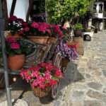 Veliko Turnovo-Bulgarian old capital and Arbanasi - Why Choose This Experience?