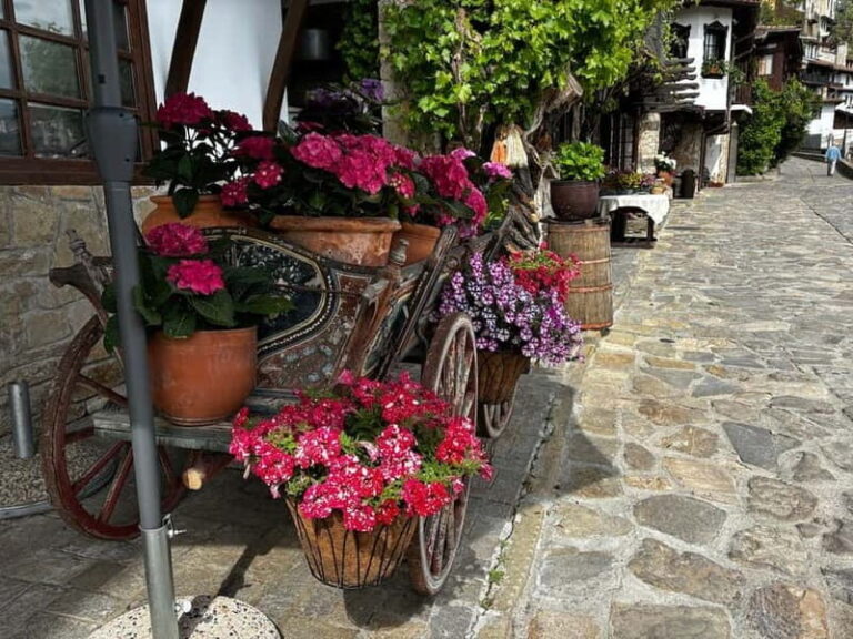 Veliko Turnovo-Bulgarian old capital and Arbanasi - Why Choose This Experience?