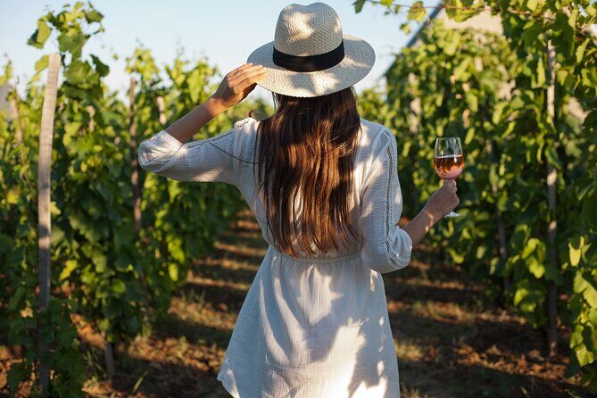 Veni vidi vino - the Freiburg wine hike - Final Thoughts: Is the Freiburg Wine Hike Worth It?
