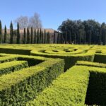 Venice: Borges Labyrinth Experience on San Giorgio Island - Who Should Consider This Tour?