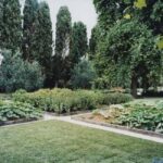 Venice: Convent Garden of Redentore Entry Ticket - Practical Tips for Visiting