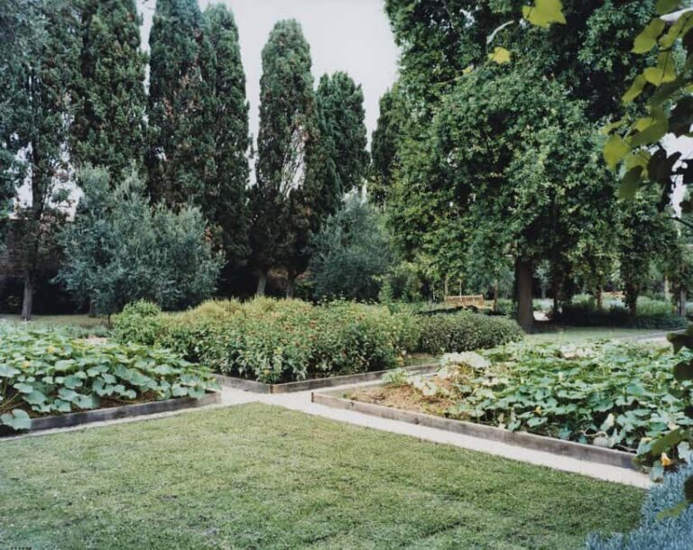 Venice: Convent Garden of Redentore Entry Ticket - Practical Tips for Visiting