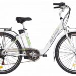 Venice E-bike Rental - Final Thoughts