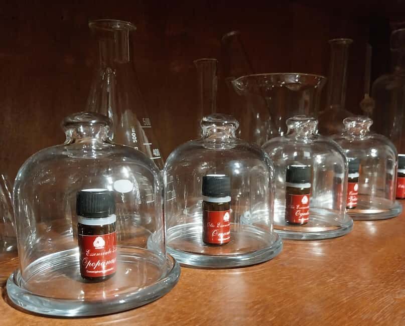 VENICE, FRANKINCENSE AND MYRRH! A JOURNEY ON AROMATICS TRADE - Final Thoughts