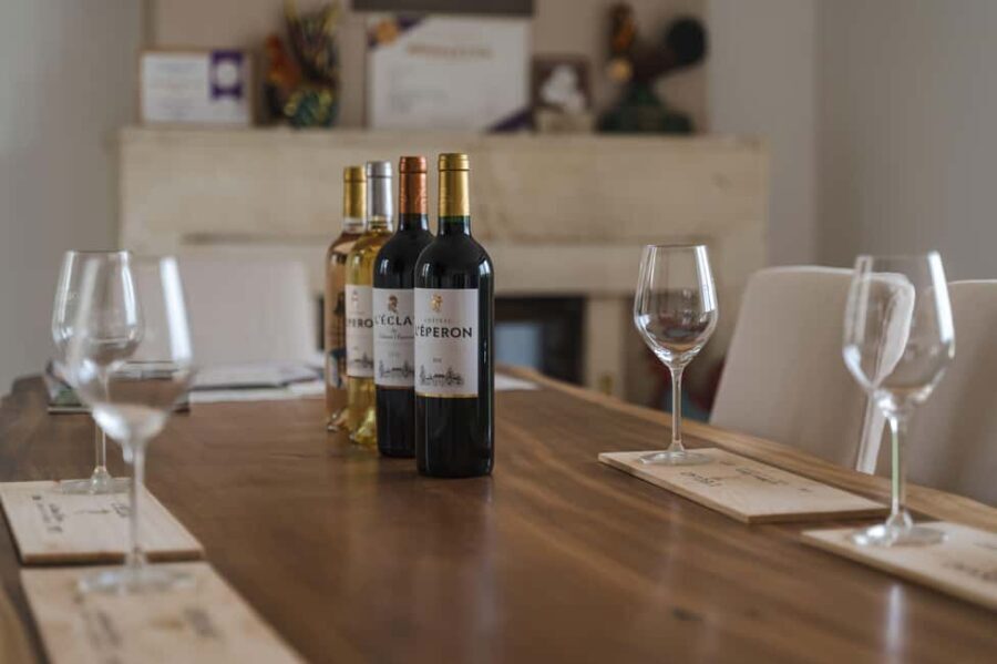 Vérac: Château L'Éperon Wine Tasting and Masterclass - What to Expect: The Itinerary in Detail