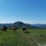 Vergato: Horseback Ride through the Emilian Hills - Detailed Breakdown of the Experience