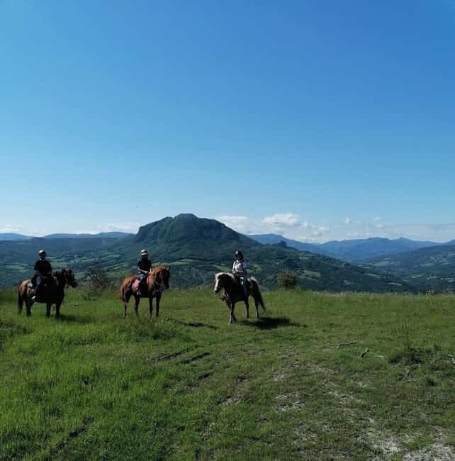 Vergato: Horseback Ride through the Emilian Hills - Detailed Breakdown of the Experience
