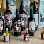Vermouth and Spirits Tasting in a Distillery near Turin - The Sum Up