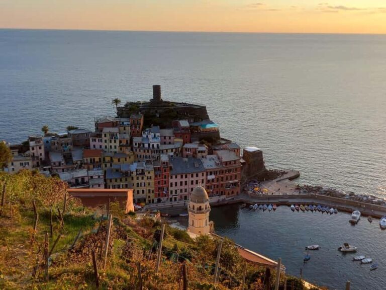 Vernazza (5 Terre): olive grove tour and oil and wine tasting - Authenticity and Value