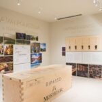 Verona: Montresor Winery Visit with Wine Tasting and Snacks - Why This Tour Offers Great Value