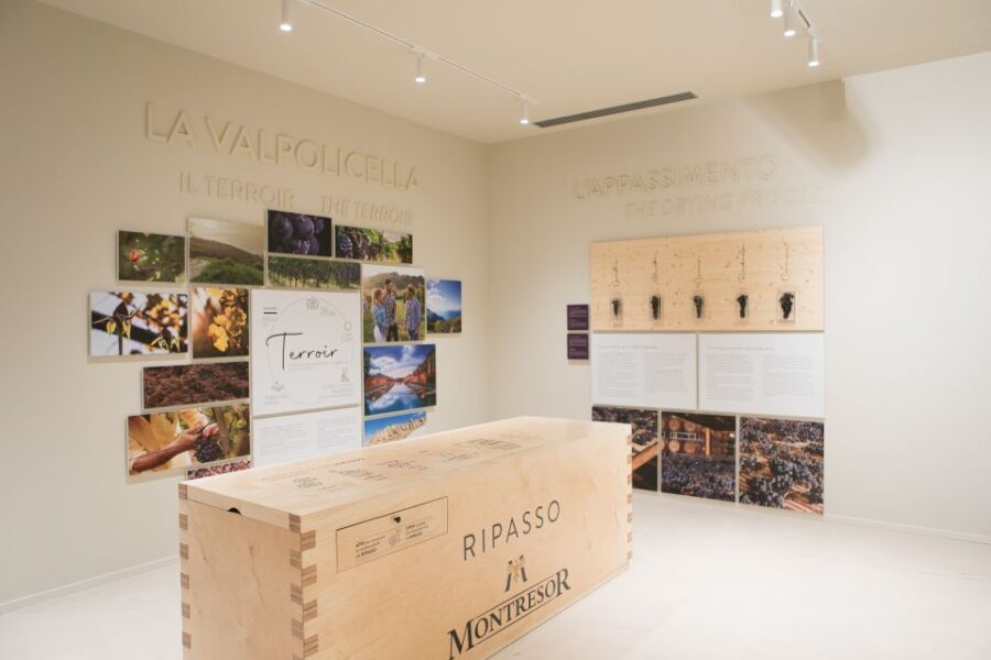 Verona: Montresor Winery Visit with Wine Tasting and Snacks - Why This Tour Offers Great Value