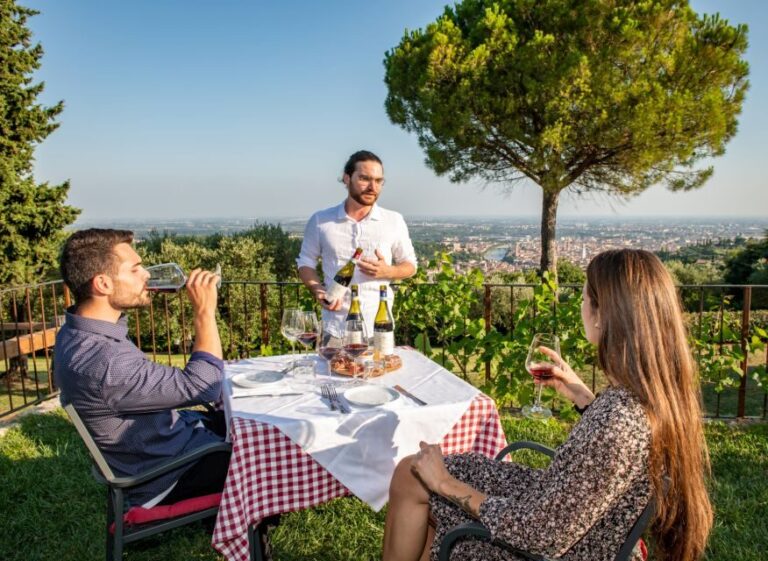 Verona: Wine Tasting with Snacks and Panoramic City Views - What’s Included and How It Works