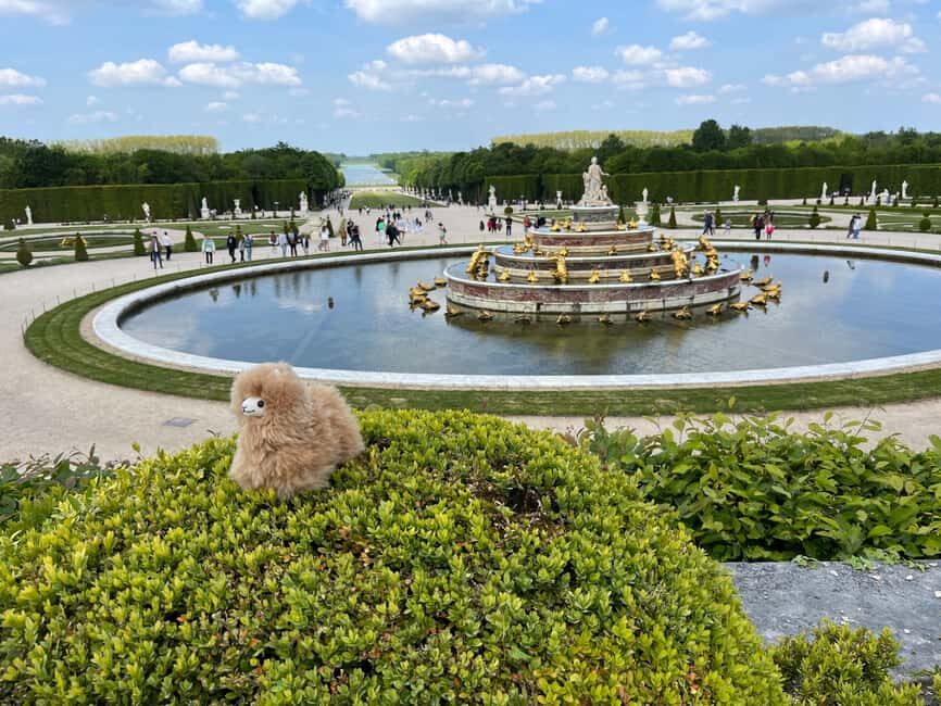 Versailles Half-day Private Tour by Luxury Car - The Experience in Detail: What You Can Expect