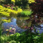 Versailles Palace and Giverny Private guided tour from Paris - Why This Tour Works