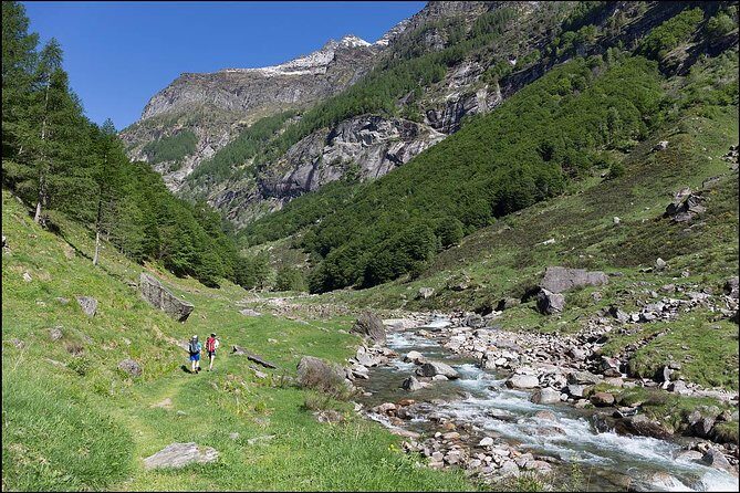 Verzasca valley, river and waterfall + Ascona private guided tour - Practical Considerations