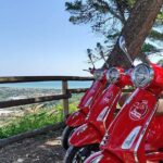 Vespa tour with written guide of Marche in Valdaso - Key Points