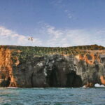 Vestmannaeyjar: 2 hour RIB boat Tour - A Deep Dive into the 2-Hour RIB Experience in Vestmannaeyjar