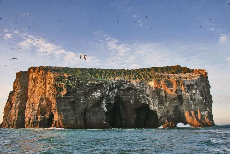 Vestmannaeyjar: 2 hour RIB boat Tour - A Deep Dive into the 2-Hour RIB Experience in Vestmannaeyjar