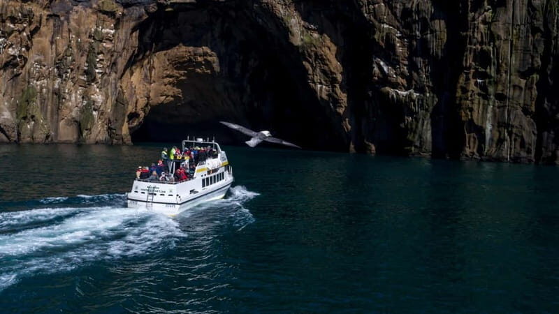 Vestmannaeyjar: Puffin, Island, and Volcano Boat Tour - The Sum Up