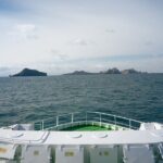 Vestmannaeyjar, Puffins & Volcanoes Small Group Day Tour - A Detailed Look at the Tour Experience