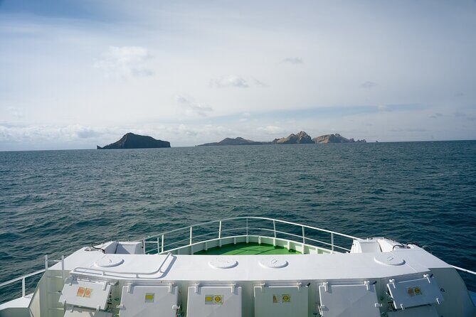 Vestmannaeyjar, Puffins & Volcanoes Small Group Day Tour - A Detailed Look at the Tour Experience