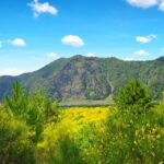 Vesuvio Tour_Transfer+Entrance ticket - An In-Depth Look at the Vesuvius Tour Experience