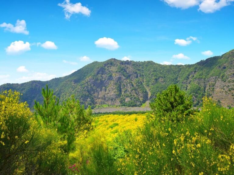 Vesuvio Tour_Transfer+Entrance ticket - An In-Depth Look at the Vesuvius Tour Experience