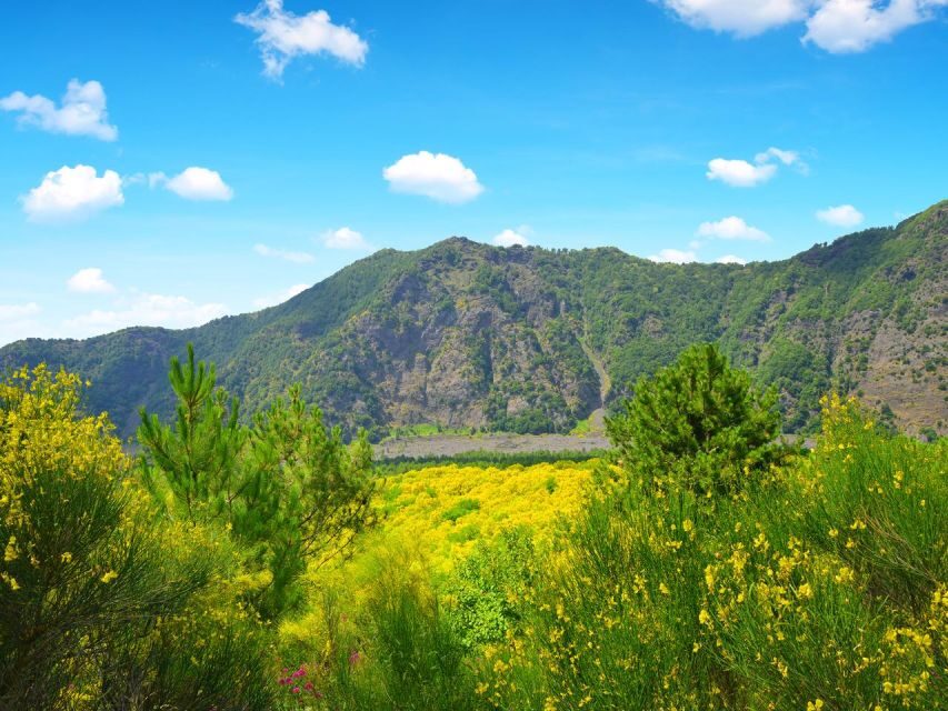 Vesuvio Tour_Transfer+Entrance ticket - An In-Depth Look at the Vesuvius Tour Experience