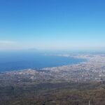 Vesuvius: Half Day Trip from Naples - The Sum Up