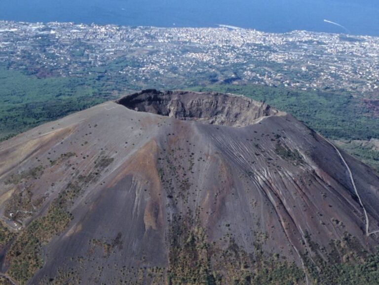 Vesuvius Park Skip-the-Line Ticket + support - A Clearer Picture of the Vesuvius Experience