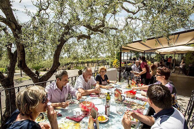 Vesuvius Wine Tasting Experience with Lunch Included - An in-depth Look at the Vesuvius Wine Tasting Experience