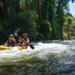 Viana do Castelo: Kayak Adventure on the Lima River - Who Will Enjoy This Tour?