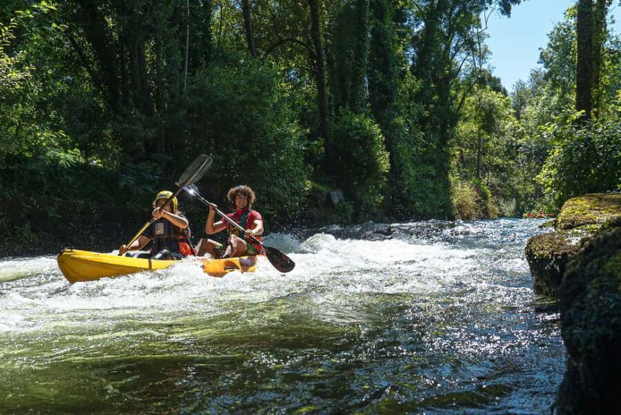 Viana do Castelo: Kayak Adventure on the Lima River - Who Will Enjoy This Tour?