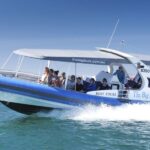 Victor Harbor: Seal Island Cruise - Who Should Book This Tour?