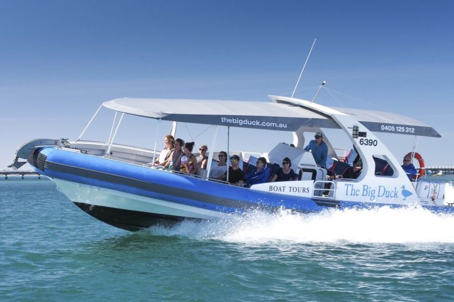 Victor Harbor: Seal Island Cruise - Who Should Book This Tour?