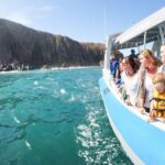 Victor Harbor: Southern Ocean Adventure Cruise with Guide - A Detailed Breakdown of the Experience