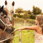 Vienna 1- or 2-Hour Professional Photo Shoot - The Sum Up: Is It Worth It?