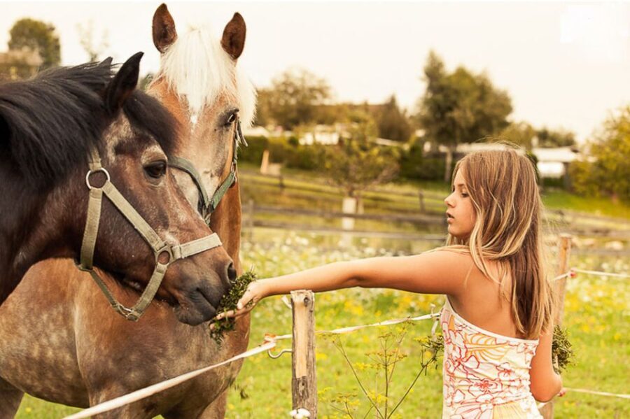 Vienna 1- or 2-Hour Professional Photo Shoot - The Sum Up: Is It Worth It?